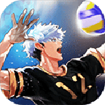 排球故事(the spike volleyball battle)